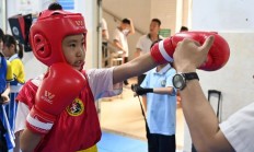 星空体育官方-拳击比赛拳手力争上游，击倒对手成胜负关键的简单介绍