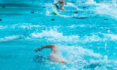 星空体育官网-美国跳水选手表现出色赢得金牌