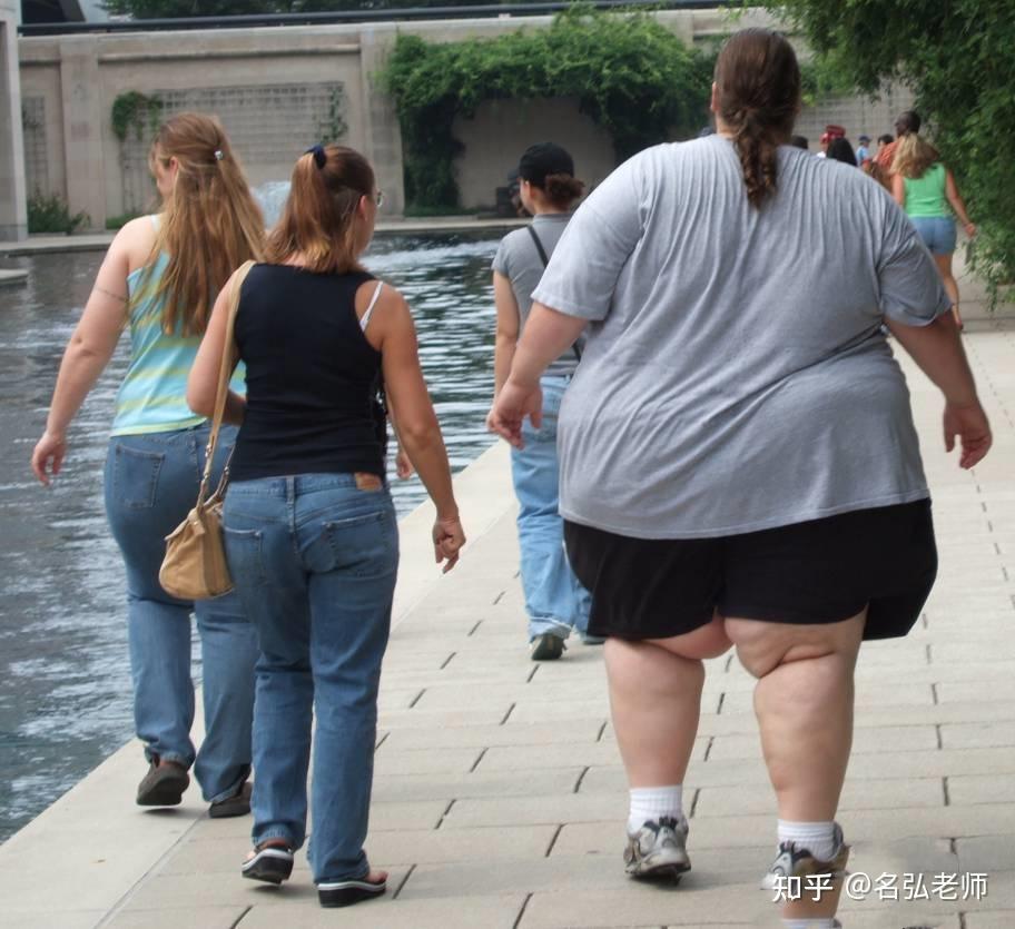 关于汉堡队员努力拼搏，可惜输掉比赛的信息